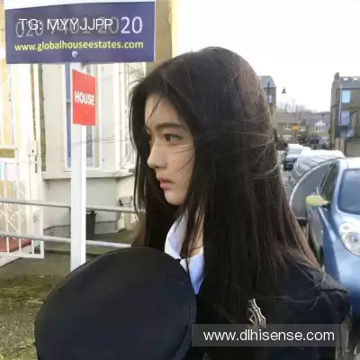 崔振姝